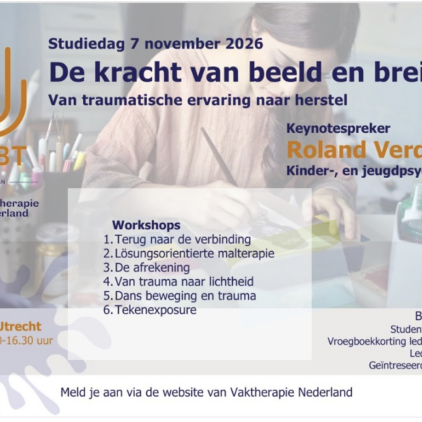de Kracht van Beeld en Brein - van traumatische ervaring naar herstel